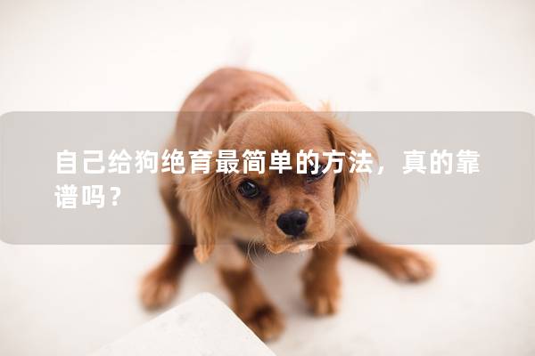 自己給狗絕育最簡單的方法，真的靠譜嗎？